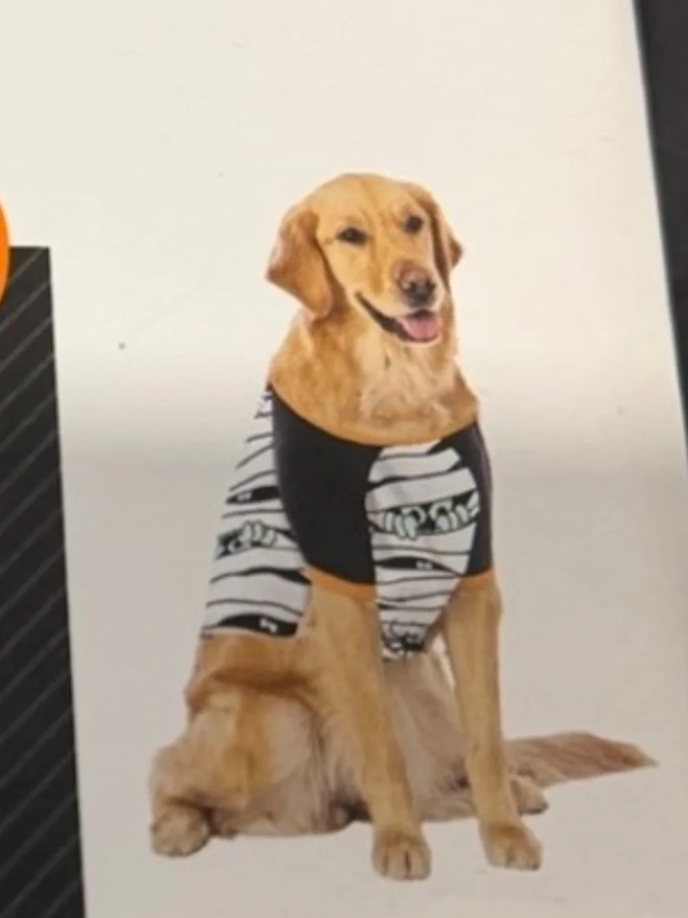 Celebrate It Black & White Halloween PJ for Pets - Glow Design